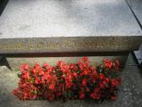 image of grave number 211081